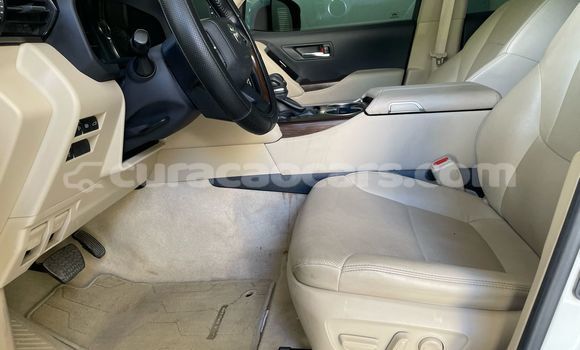 Buy Used Toyota Land Cruiser White Car in Willemstad in Curacao Buy Used Toyota Land Cruiser White Car in Willemstad in Curacao