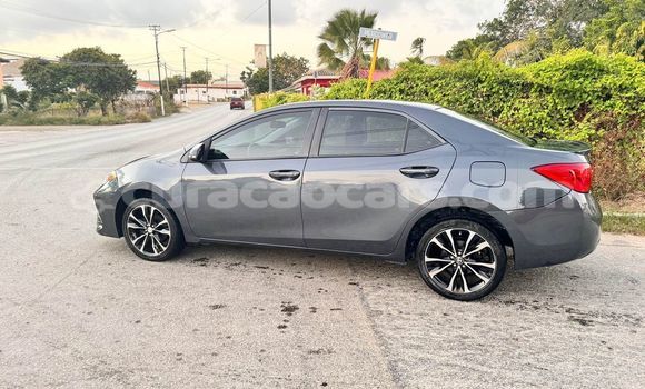 Buy Used Toyota Corolla Other Car in Import - Dubai in Curacao Buy Used Toyota Corolla Other Car in Import - Dubai in Curacao