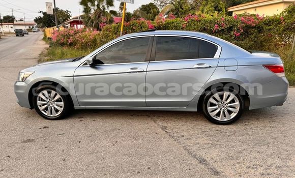 Buy Used Honda Accord Other Car in Import - Dubai in Curacao