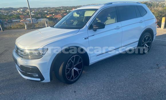 Buy Used Volkswagen Tiguan White Car in Willemstad in Curacao Buy Used Volkswagen Tiguan White Car in Willemstad in Curacao