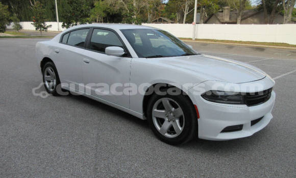 Buy Used Dodge Charger White Car in Willemstad in Curacao