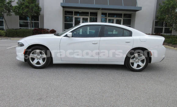 Buy Used Dodge Charger White Car in Willemstad in Curacao Buy Used Dodge Charger White Car in Willemstad in Curacao