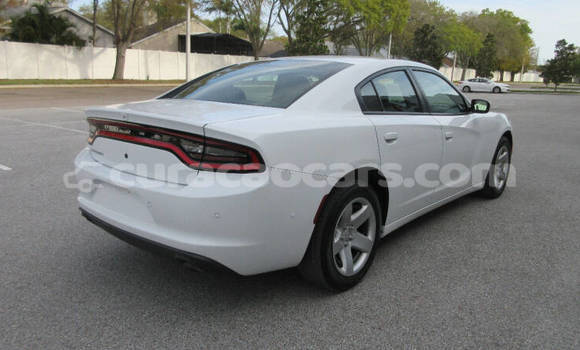 Buy Used Dodge Charger White Car in Willemstad in Curacao Buy Used Dodge Charger White Car in Willemstad in Curacao