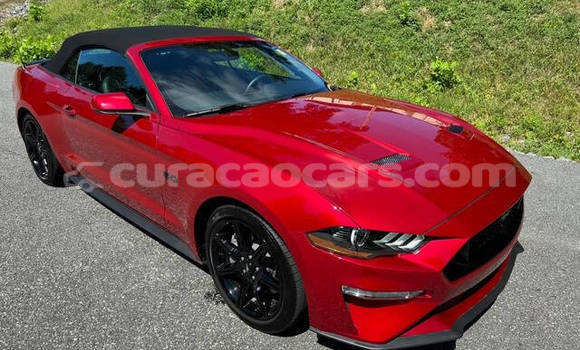 Buy Used Ford Mustang Red Car in Willemstad in Curacao