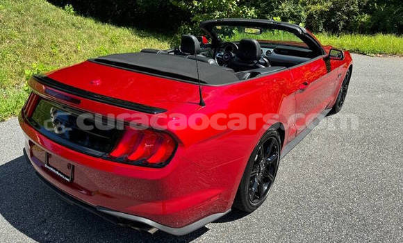 Buy Used Ford Mustang Red Car in Willemstad in Curacao Buy Used Ford Mustang Red Car in Willemstad in Curacao