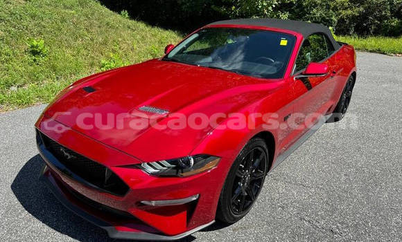 Buy Used Ford Mustang Red Car in Willemstad in Curacao Buy Used Ford Mustang Red Car in Willemstad in Curacao