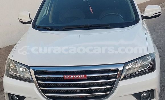 Buy Used Haval H2 White Car in Dorp Soto in Curacao Buy Used Haval H2 White Car in Dorp Soto in Curacao