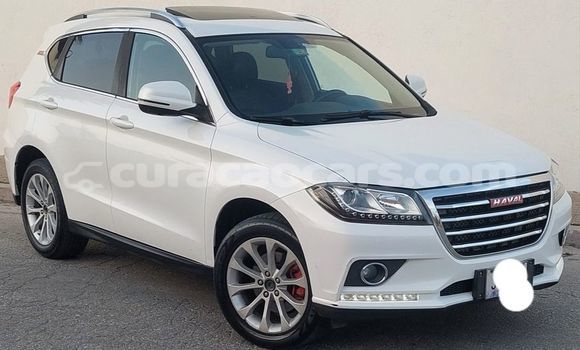 Buy Used Haval H2 White Car in Dorp Soto in Curacao Buy Used Haval H2 White Car in Dorp Soto in Curacao