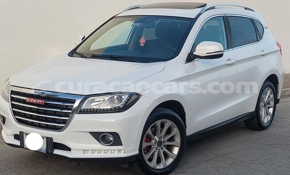 Buy Used Haval H2 White Car in Dorp Soto in Curacao Buy Used Haval H2 White Car in Dorp Soto in Curacao