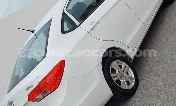 Buy Used Great Wall Florid White Car in Dorp Soto in Curacao Buy Used Great Wall Florid White Car in Dorp Soto in Curacao