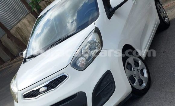 Buy Used Kia Picanto White Car in Lagún in Curacao Buy Used Kia Picanto White Car in Lagún in Curacao