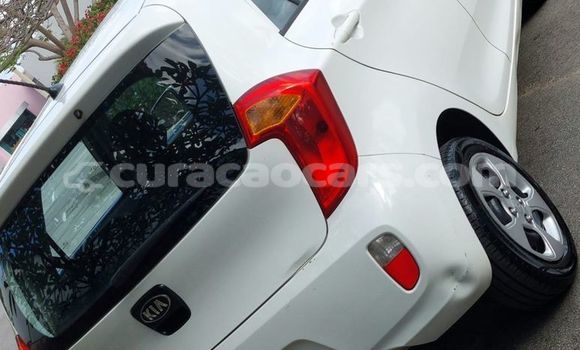 Buy Used Kia Picanto White Car in Lagún in Curacao Buy Used Kia Picanto White Car in Lagún in Curacao