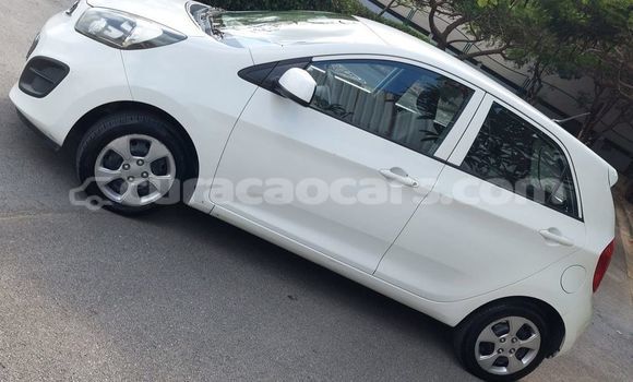 Buy Used Kia Picanto White Car in Lagún in Curacao Buy Used Kia Picanto White Car in Lagún in Curacao
