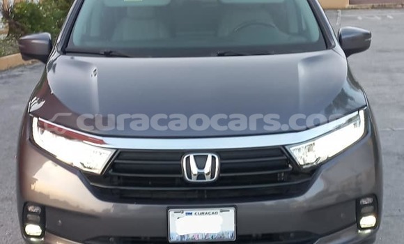 Buy Used Honda Odyssey Other Car in Sint Michiel Liber in Curacao