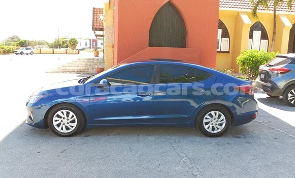 Buy Used Hyundai Elantra Blue Car in Import - Dubai in Curacao
