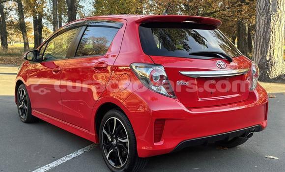 Buy Used Toyota Vitz Red Car in Willemstad in Curacao Buy Used Toyota Vitz Red Car in Willemstad in Curacao