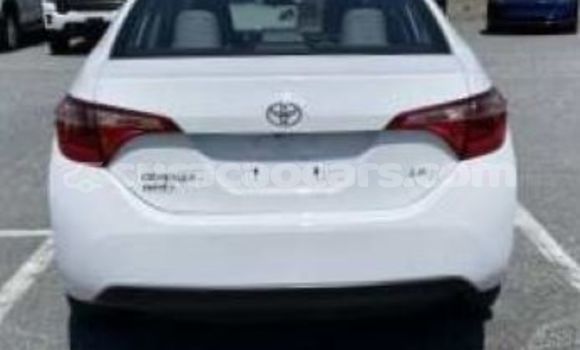 Buy Used Toyota Corolla White Car in Sabana Westpunt in Curacao