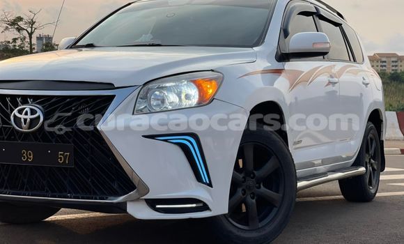 Buy Used Toyota RAV4 White Car in Willemstad in Curacao Buy Used Toyota RAV4 White Car in Willemstad in Curacao