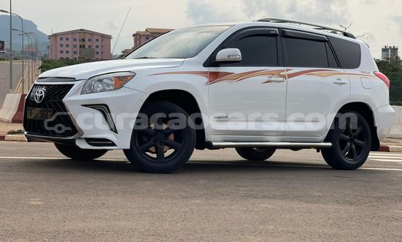 Buy Used Toyota RAV4 White Car in Willemstad in Curacao Buy Used Toyota RAV4 White Car in Willemstad in Curacao
