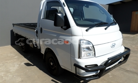 Buy Used Hyundai H200 White Car in Willemstad in Curacao