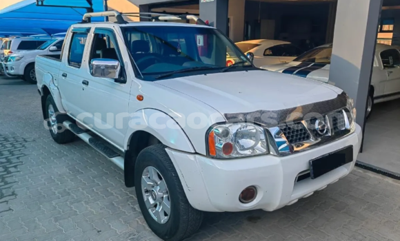 Buy Used Nissan NP 300 White Car in Willemstad in Curacao Buy Used Nissan NP 300 White Car in Willemstad in Curacao