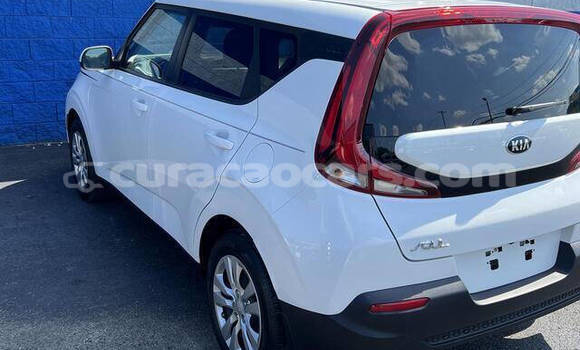 Buy Used Kia Soul White Car in Willemstad in Curacao Buy Used Kia Soul White Car in Willemstad in Curacao