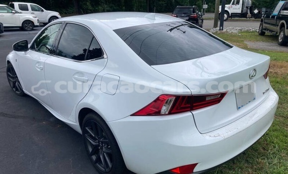 Buy Used Lexus IS White Car in Willemstad in Curacao Buy Used Lexus IS White Car in Willemstad in Curacao