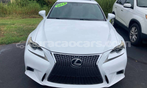 Buy Used Lexus IS White Car in Willemstad in Curacao Buy Used Lexus IS White Car in Willemstad in Curacao