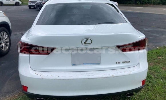 Buy Used Lexus IS White Car in Willemstad in Curacao Buy Used Lexus IS White Car in Willemstad in Curacao