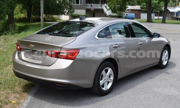 Buy Used Chevrolet Malibu Other Car in Willemstad in Curacao Buy Used Chevrolet Malibu Other Car in Willemstad in Curacao