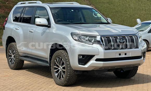 Buy Used Toyota Land Cruiser Prado White Car in Willemstad in Curacao Buy Used Toyota Land Cruiser Prado White Car in Willemstad in Curacao