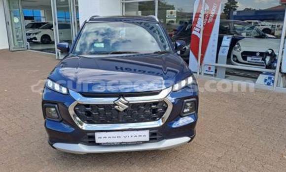 Buy Used Suzuki Grand Vitara Blue Car in Willemstad in Curacao Buy Used Suzuki Grand Vitara Blue Car in Willemstad in Curacao