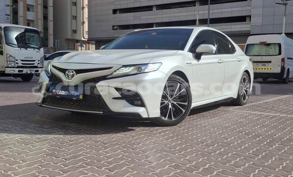 Buy Used Toyota Camry White Car in Willemstad in Curacao