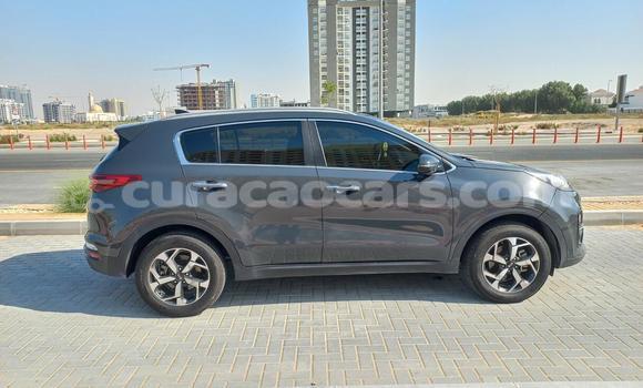 Buy Used Kia Sportage Other Car in Willemstad in Curacao Buy Used Kia Sportage Other Car in Willemstad in Curacao