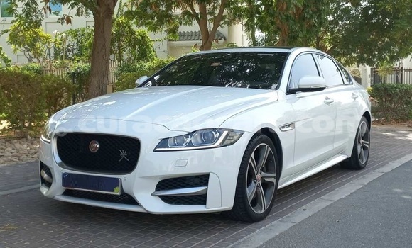 Buy Used Jaguar XF White Car in Willemstad in Curacao