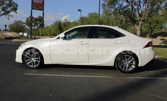 Buy Used Lexus IS White Car in Willemstad in Curacao Buy Used Lexus IS White Car in Willemstad in Curacao