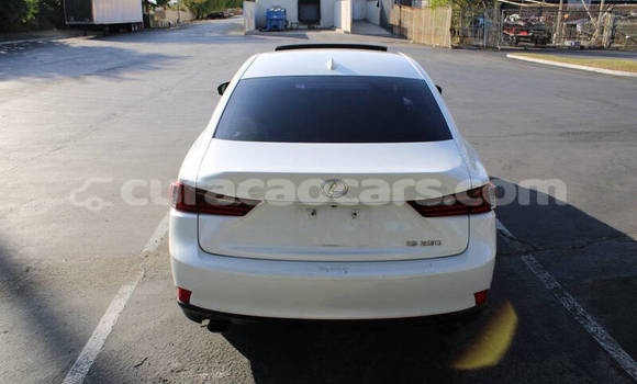Buy Used Lexus IS White Car in Willemstad in Curacao Buy Used Lexus IS White Car in Willemstad in Curacao