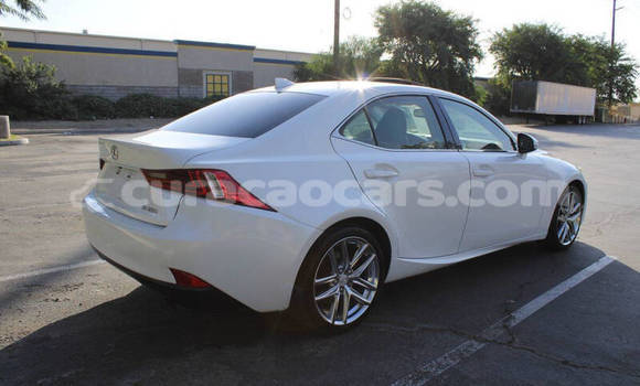 Buy Used Lexus IS White Car in Willemstad in Curacao Buy Used Lexus IS White Car in Willemstad in Curacao