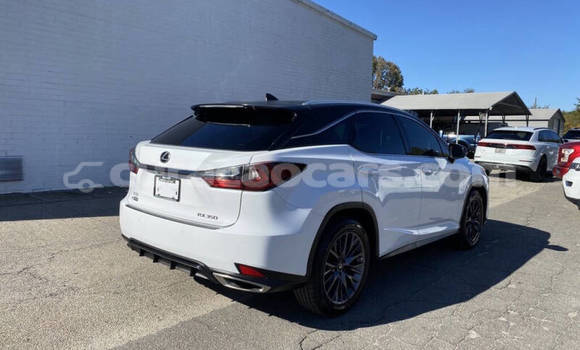 Buy Used Lexus RX 350 White Car in Willemstad in Curacao Buy Used Lexus RX 350 White Car in Willemstad in Curacao