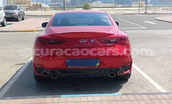 Buy Used Infiniti Q60 Red Car in Willemstad in Curacao Buy Used Infiniti Q60 Red Car in Willemstad in Curacao