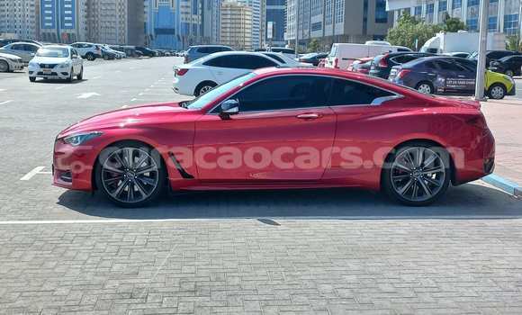 Buy Used Infiniti Q60 Red Car in Willemstad in Curacao Buy Used Infiniti Q60 Red Car in Willemstad in Curacao
