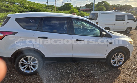 Buy Used Ford Escape White Car in Willemstad in Curacao Buy Used Ford Escape White Car in Willemstad in Curacao