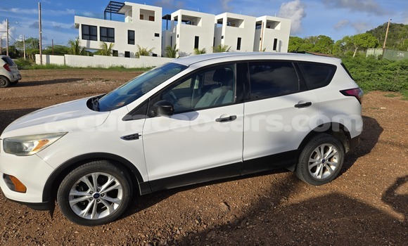 Buy Used Ford Escape White Car in Willemstad in Curacao Buy Used Ford Escape White Car in Willemstad in Curacao