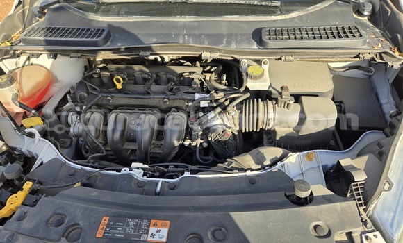 Buy Used Ford Escape White Car in Willemstad in Curacao Buy Used Ford Escape White Car in Willemstad in Curacao