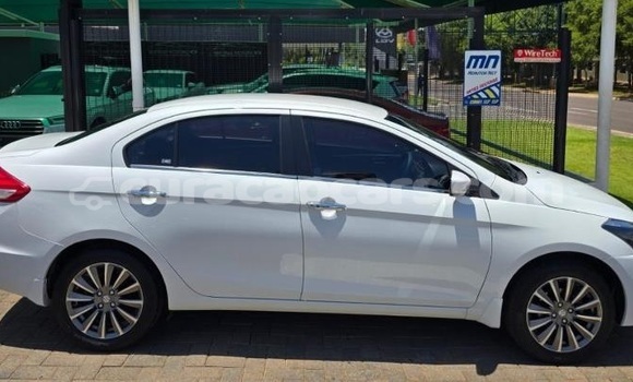 Buy Used Suzuki Ciaz White Car in Willemstad in Curacao Buy Used Suzuki Ciaz White Car in Willemstad in Curacao