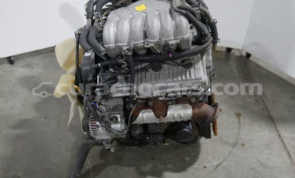 Buy Toyota Tacoma, 4Runner in Willemstad in Curacao Buy Toyota Tacoma, 4Runner in Willemstad in Curacao