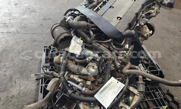Buy Mitsubishi ASX Engine in Willemstad in Curacao Buy Mitsubishi ASX Engine in Willemstad in Curacao