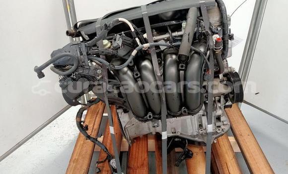 Buy Toyota RAV4 Engine in Willemstad in Curacao Buy Toyota RAV4 Engine in Willemstad in Curacao
