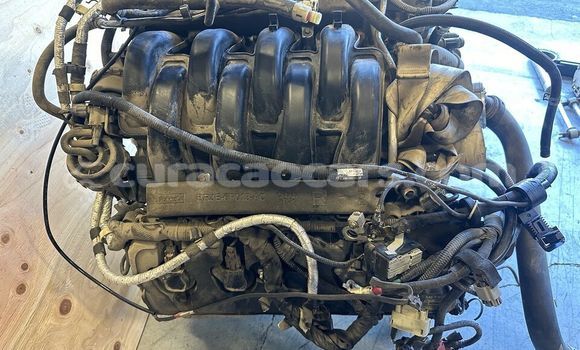 Buy FORD F150 5.0L in Willemstad in Curacao Buy FORD F150 5.0L in Willemstad in Curacao