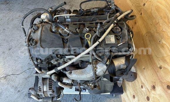 Buy FORD F150 5.0L in Willemstad in Curacao Buy FORD F150 5.0L in Willemstad in Curacao